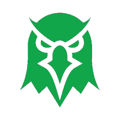 Owl icon